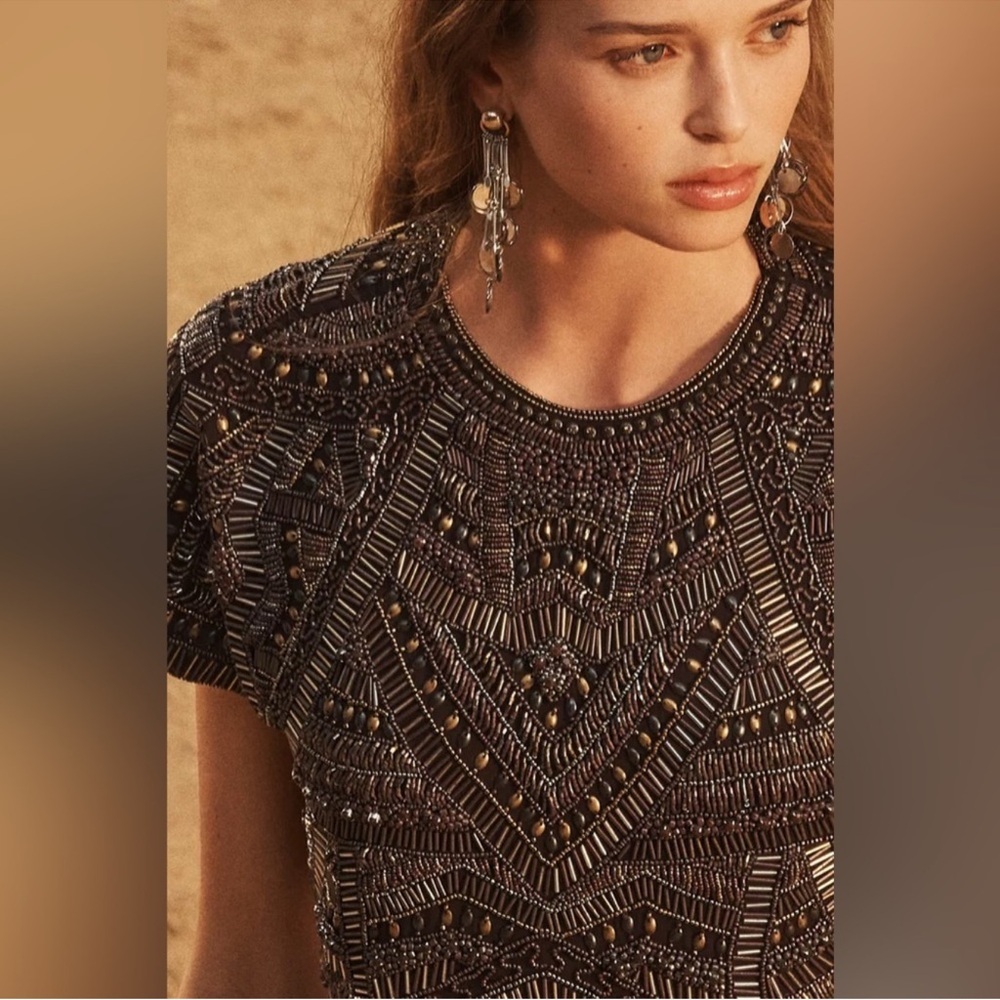 NWT ZARA LIMITED EDITION EMBROIDERED TOP DRESS